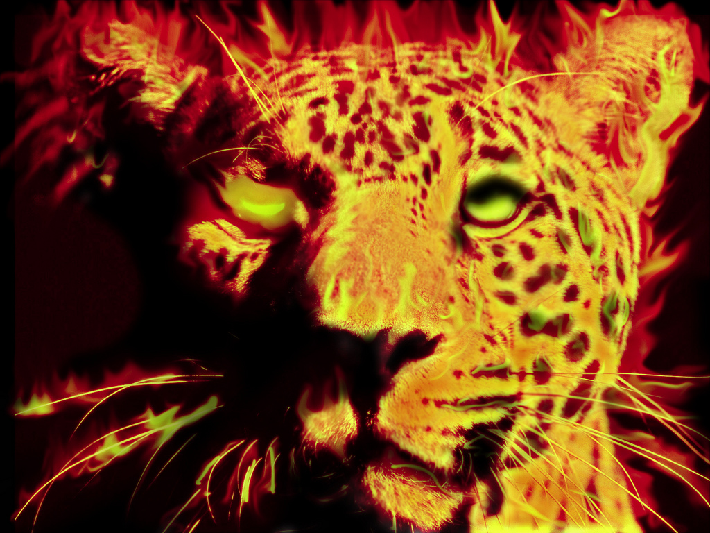 Indián népmese: A jaguár és a tűz